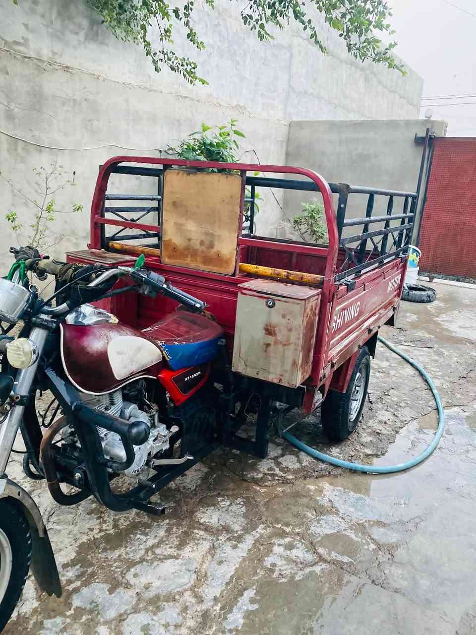ستوتة • ٢٠١٥ • جلولاء