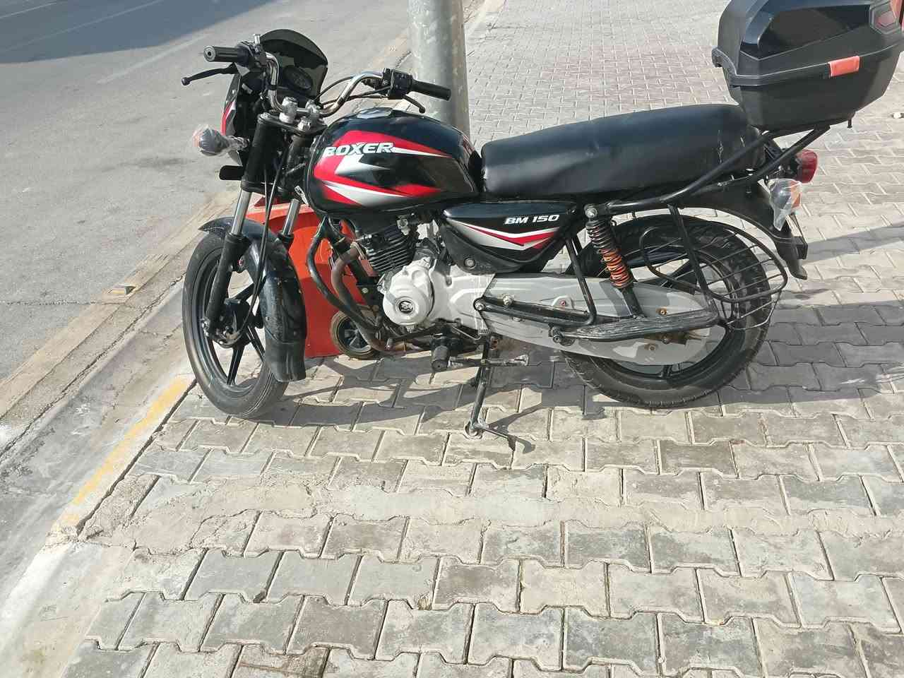 بوكسر • ٢١ • اوراق اصليه