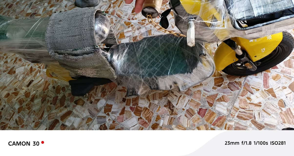 السلام عليكم باسكل شحن للبيع مستخدم شهر الشراي يجي خاص هذا رقمي *********** كربلاء المقدسة حي لعسكري قرب مركز
