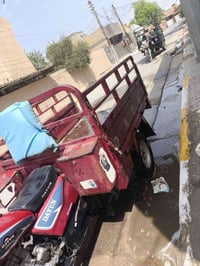 ستوته • ٢٠٢٢ • ٧ اوراق