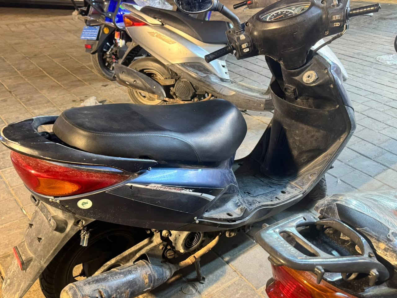 ببغاء نوزل • نضيفه • تايرات جدد