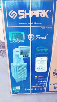 مبرده • بالكارتون • مستعجل