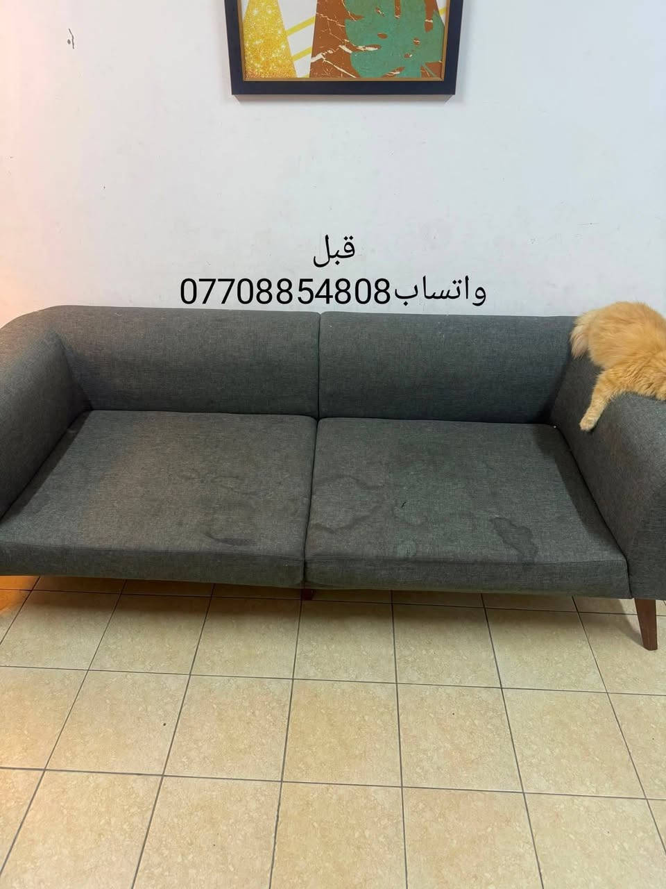 زبائننا الكرام 
خدمات غسيل وتجفيف طقم القنفات 
🎉مجمع بسماية والمناطق المجاورة🎉
 ‼️عرض خاص‼️

غسل وتجفيف طقم القنفات الموقعي بأجود انواع الأجهزة والمنظفات الأيطاليا لازالة البقع 

ملاحظة:لايحتاج طقم القنفات ان يترك في الشمس لان يتم تجفيفه بأحدث المكائن

الاسعار تعتمد على عدد المقاعد
5مقاعد فما دون((30الف دينار))
7-6مقاعد((35الف دينار))
10-8مقاعد((40الف دينار))
علماً ان الاسعار المذكورة تشمل فقط مجمع بسماية والمناطق المجاورة
للتواصل والاستفسار اكثر مراسلة الصفحة او على الواتساب
***********

نص مكتوب في الصور:
- قبل واتساب ***********
- بعد واتساب ***********
- قبل
- واتساب ***********