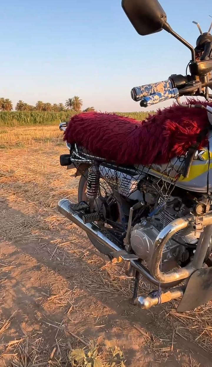 سولنك • 2023 • محرك بلادي