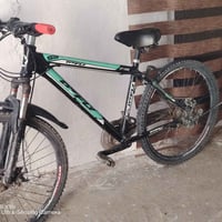 باسكل • نظيف • معسكر دوميز