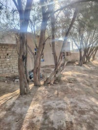 اثاث • للبيع
