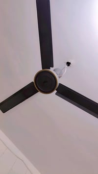 سقفيه • اصليه • استعمال شهر