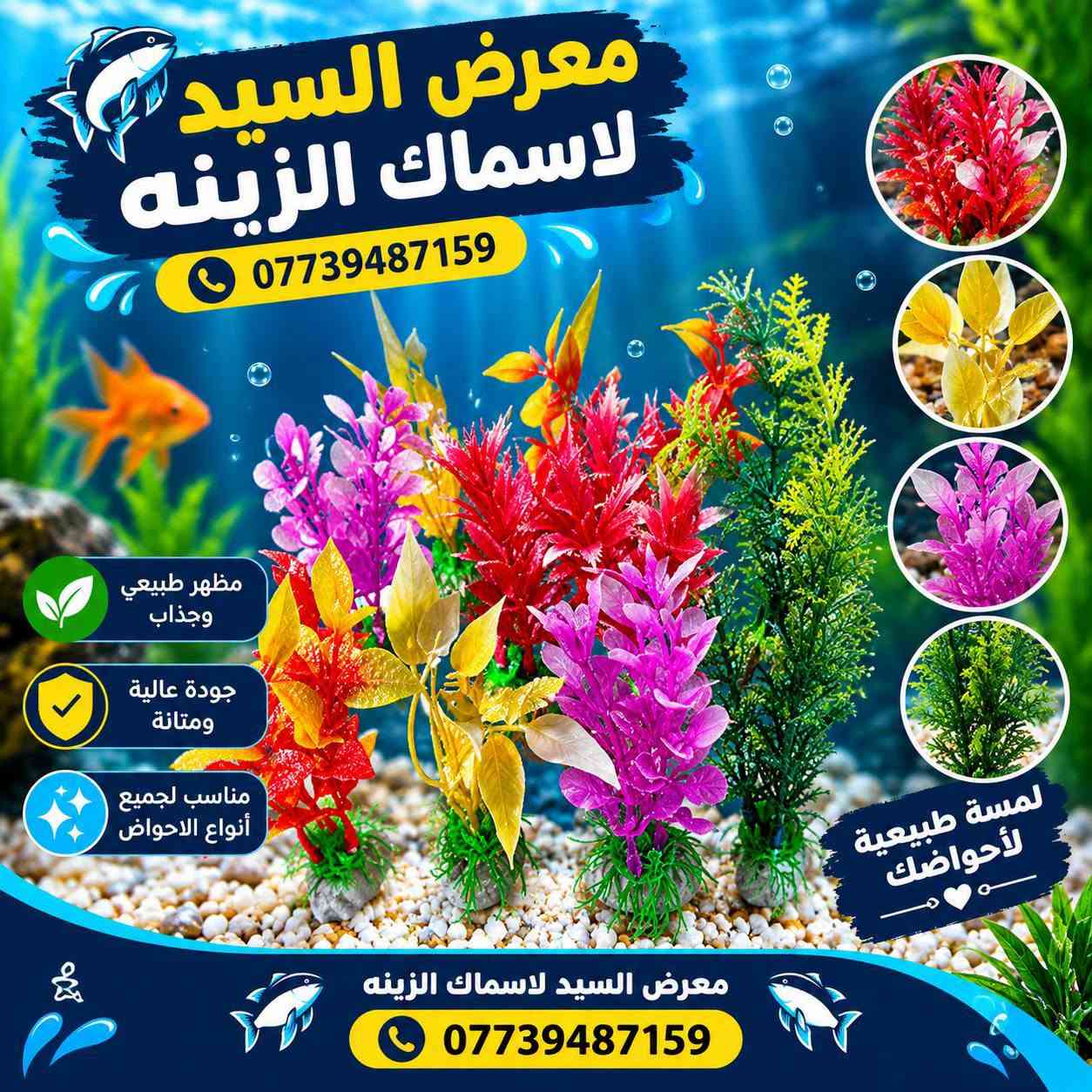 🌿🐠 ورد ونباتات زينة لأحواض الأسماك 🐠🌿

خلي حوضك أجمل وأحلى بألوان مميزة 🌸✨
متوفر لدينا تشكيلة متنوعة من ورد ونباتات الزينة الصناعية للأحواض بألوان وأشكال مختلفة 🌺🌿

✅ شكل طبيعي وجذاب
✅ ألوان زاهية ومميزة
✅ مناسبة لمختلف أحواض الأسماك
✅ تضيف لمسة جمالية رائعة للحوض

📍 معرض السيد لأسماك الزينة
📞 للطلب والاستفسار: ***********

💚 اختار اللون اللي يعجبك وخلي حوضك يختلف عن الباقين! 🐟🌸

#معرض_السيد_لاسماك_الزينة #اسماك_الزينة #احواض_الاسماك #نباتات_الاحواض #ورد_الاحواض #ديكور_احواض #اكواريم
