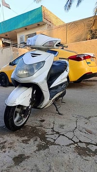سكنس فحل • نفخ • ياباني