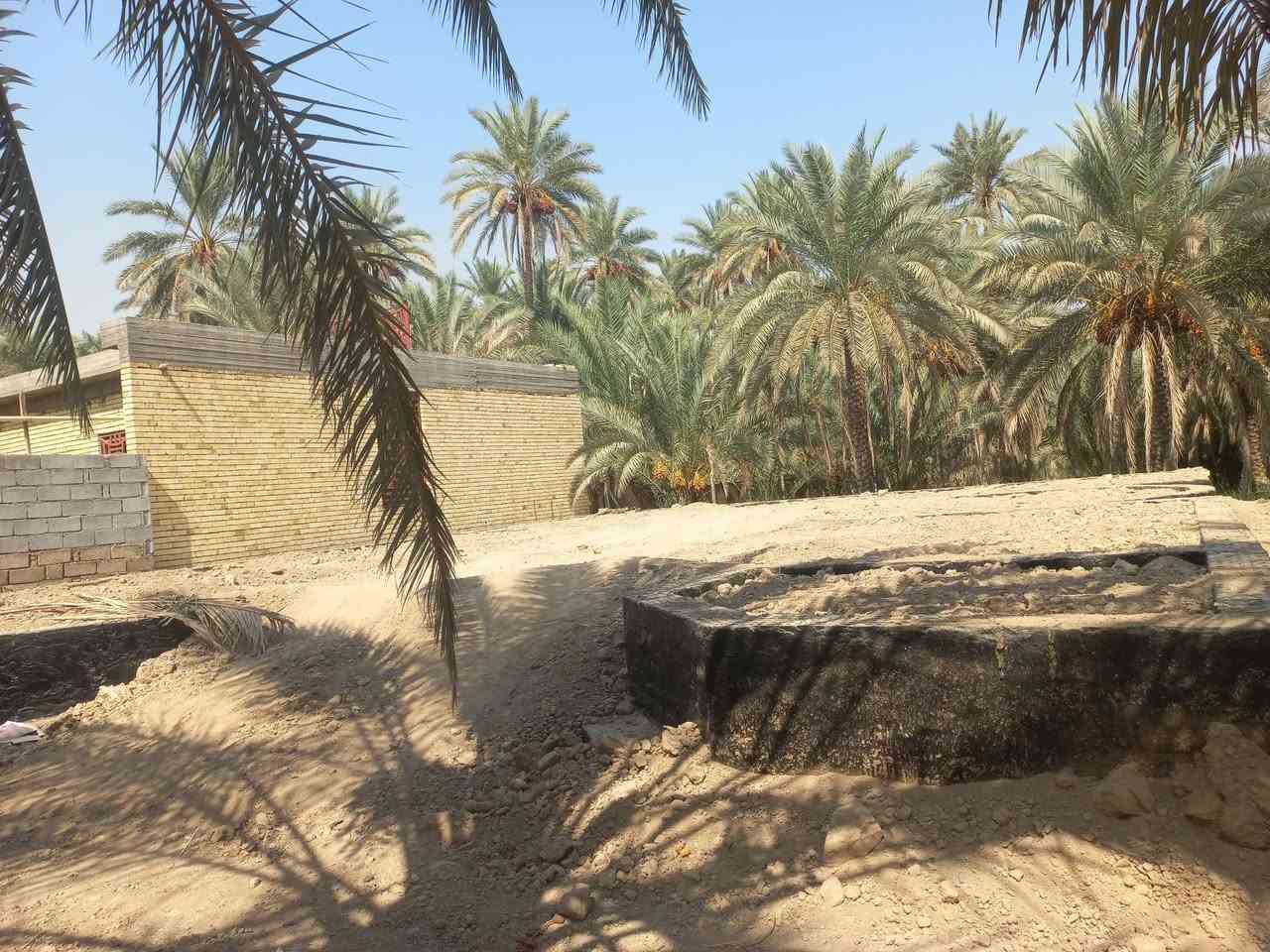 السند (٢٥) تحويل لكافة السهام. المساحه في السند ٢٢٠٠م أما. في واقع. الحال (١٨٠٠م) البعد من مركز كربلاء ٦كم الشارع  مهيأ للتبليط مجرد وقت تتوفر اغلب الخدمات العنوان كربلاء طريق البارون بالقرب من ااكنطره البيضه ؛ ومرحبا بكم : للبيع ١٨٠٠م طابو س ٢٥ فلاحه ملاجه تحويل كافة السهام في العقاري تحتوي اساس رباط ٢٨٠م درجه أولى البستان مخدوم. ويتنوع في غرس. النخيل للاصناف الممتازه  كما تتوفر مياه السقي والاساله. وباقي الخدمات  الواجه ١٥/٥  السعر ٣٢٥ مليون مع مجال بسيط ومداوله مع. مالك الارض التفاصيل الأخرى والاستعلام. واصلونا. هاتفيا واتساب. خاص مع وافر التقدير  زدمتم سالمين (***********)
