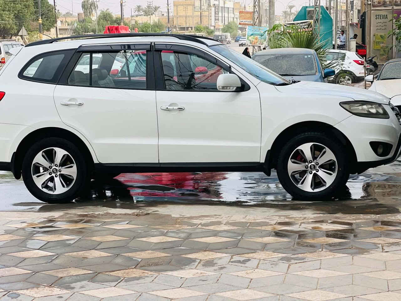 سنتافيا • ٢٠١٢ • رقم بابل