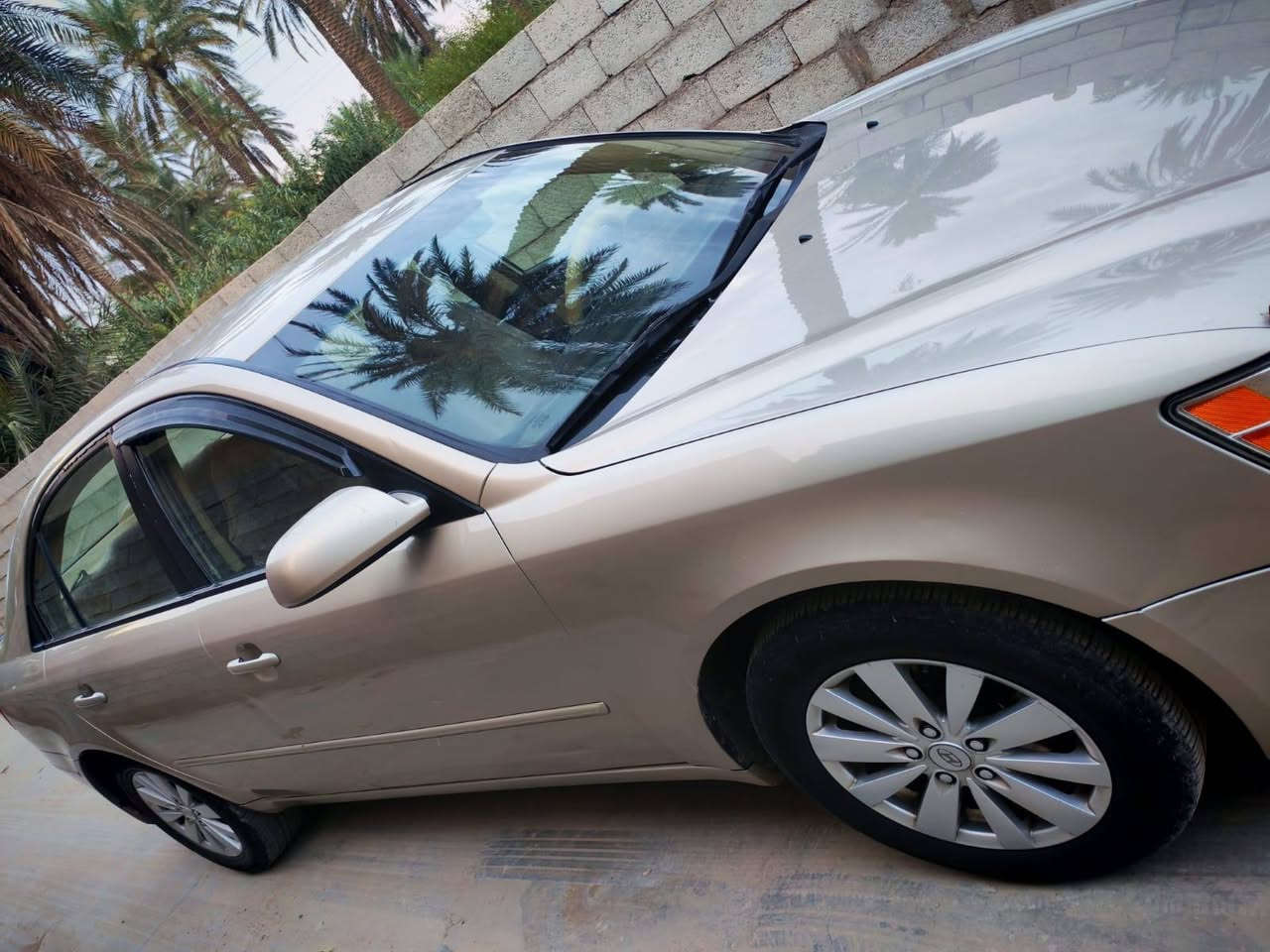 سوناتا • ٢٠٠٩ • ديالى