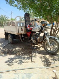 ستوته ام تي ار • كفاله عامه • الشاصي والركبه