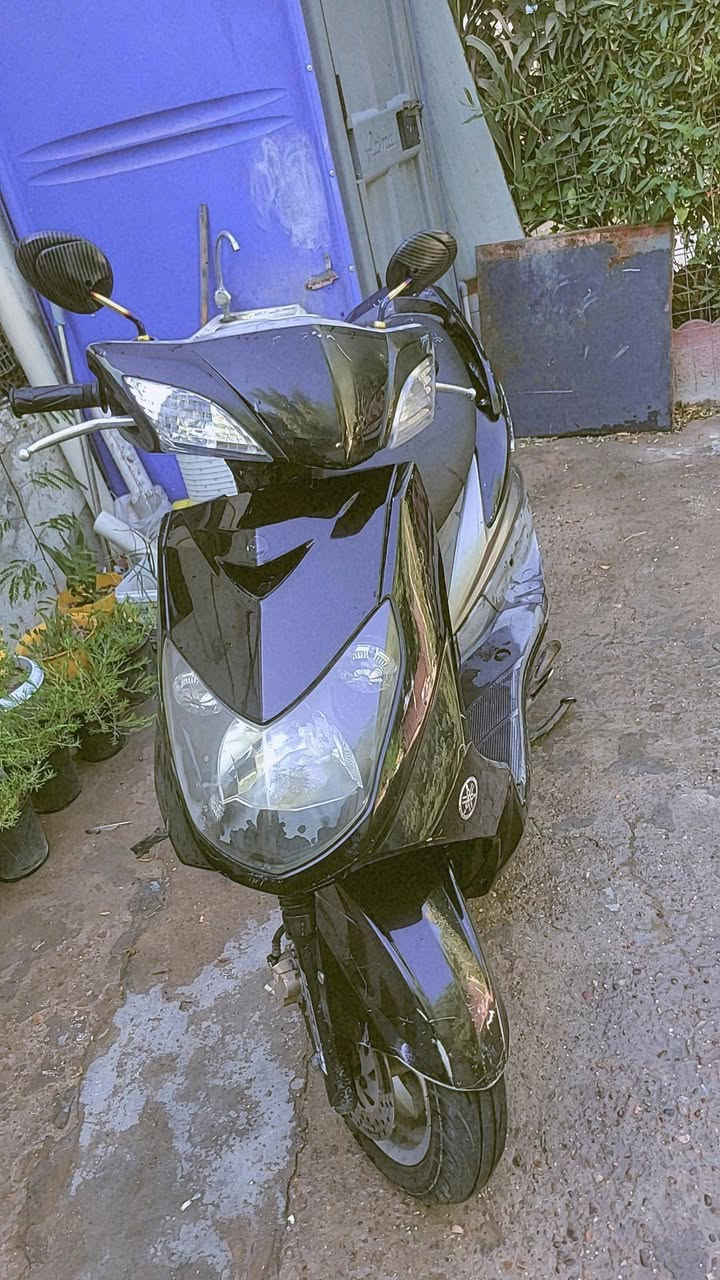 سكنس فحل نوزل لبيع بغداد شعلة الرحمانية ***********
