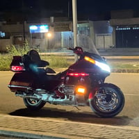 كولد وينج • 1500 • بدون اوراق