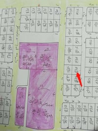 نص قطعة • ١٥٠م • طابو ملك صرف