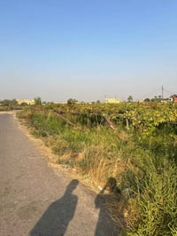 بستان • دونم ونص • مي حلو وكهرباء