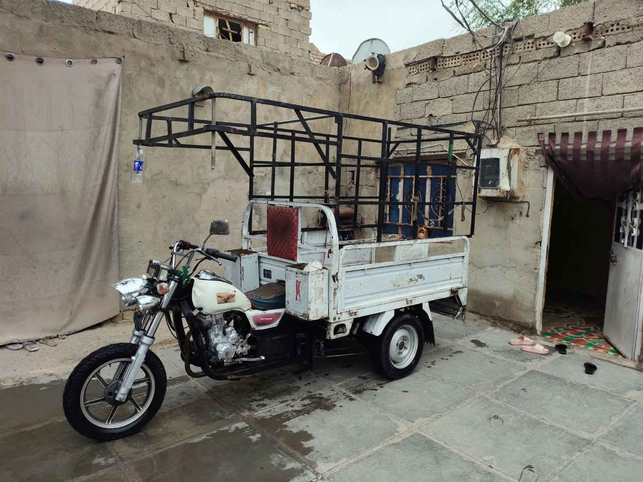 ستوته • ٢٤ • ٢٠٢٠