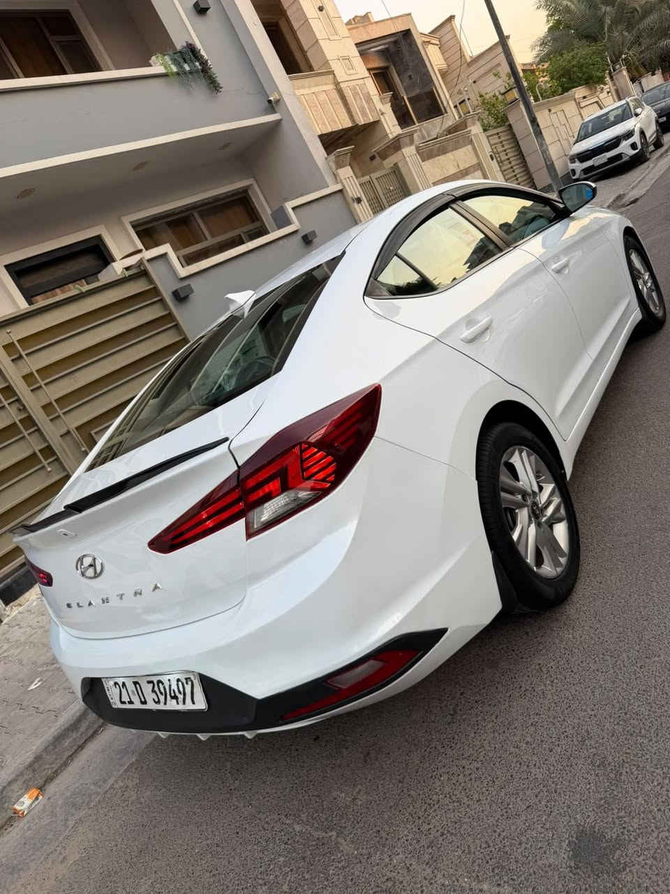 النترا • ٢٠١٩ • وارد آمريكي
