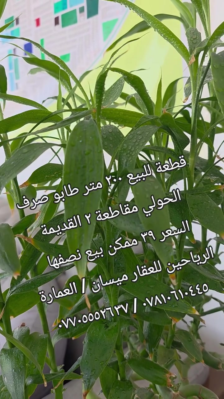 قطعة للبيع طابو صرف جاهزة للتحويل .
( ٢٠٠ متر مقابل مربع خدمات )

رقم العقار ١٤٨٣/٢ الحولي مقاطعة ٢

السعر ( ٣٩ مليون ) ممكن بيع نصف العقار

#ملاحظة: المكتب مجاز من قبل الدولة .

رقم الإجازة (  ٢١٠٤٤  ) 

أحمد نجم :  *********** / ***********

عنوانا : ميسان/ العمارة / طريق الحولي العام
