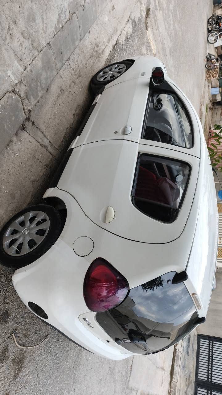 جيلي پاندا • ٢٠١٣ • شمشمل
