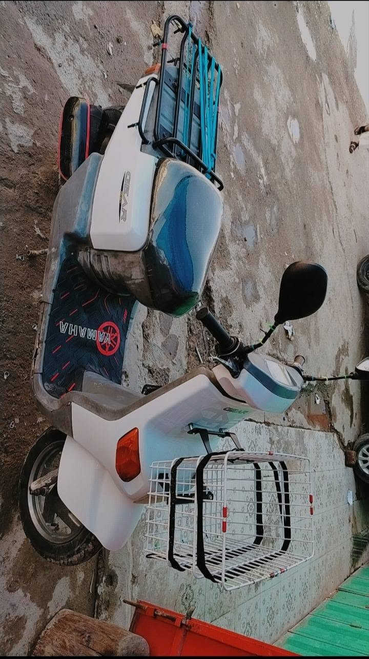 فول نضافة • سرعة ٦٠ • بعقوبة