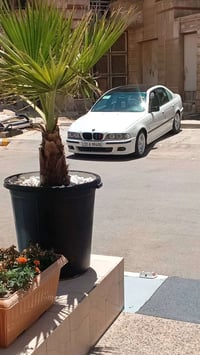 صقر ٩٧ • وارد يابان • غرامات صفر