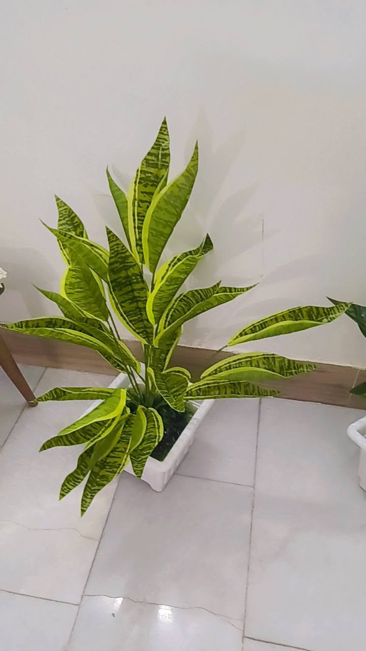 سوق الذهب قرب مجمع آل ياسين 
للاستفسار الاتصال بالرقم 
*********** واتساب
بإدارة حسن ميزي 
توجد خدمة التوصيل مجانا
