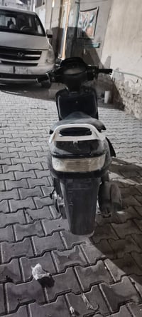 فراشة • نضيفة • دبلات رياضي