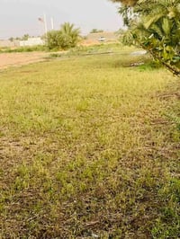 ارض زراعية • دونم ونص • سند ٢٥