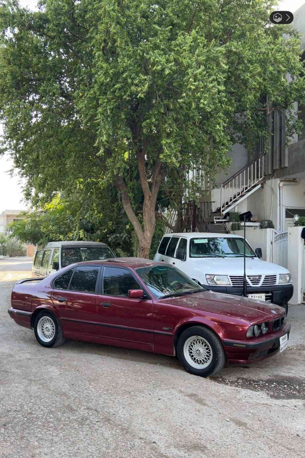 رقم اصلي • فول فول • جير عادي