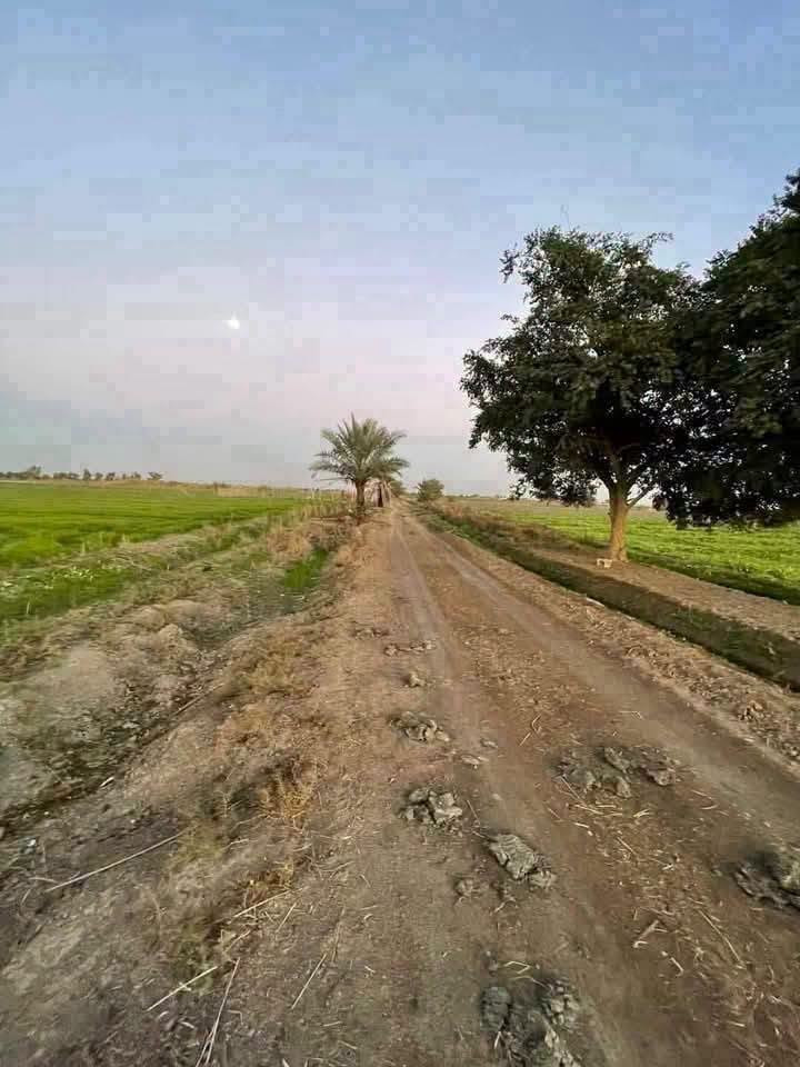 عرض اليوم 14دونم منطقة الشيخ عامر 💎
التاجي ذراع دجله 💎 
ماء 
كهرباء ⚡ 
سند 25طابو فلوجة فتح بيان ثاني يوم 📝 كامل معامله 
تبعد عن بغداد 20دقيقه 🕝 
الواجهة 50 والنزل 50 
مركز صحي 🏥
المدرسة 🏫 
تكدر تسويها شاليهات استثماريه قابله الصعود الاراضي فرصه ذهبيه الك 
🔹 سعر الدونم 30 مجال 💸 قابل للتفاوض   
جميع الخدمات متوفر 
 الاستفسار اتصال ***********
