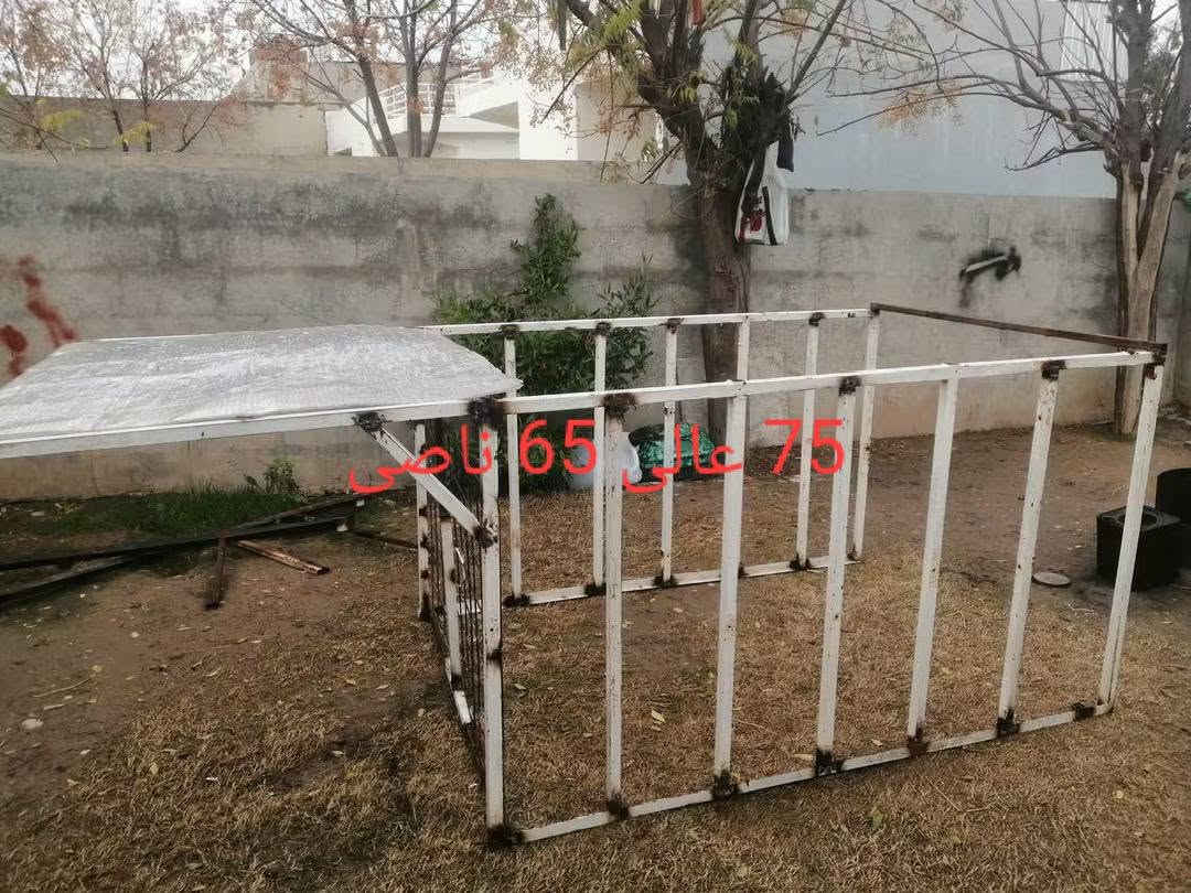السلام عليكم
من رخصت الادمن
فصال محجل ستوته شتريد موجود وشون متريد عالي ناصي قوي اقتصادي مال بيع وشرء شتريد متوفر اسوي اسعار حيل زينه
*********** بي واتساب مكاني حي سومر
للتوضيح الصور مو الي
