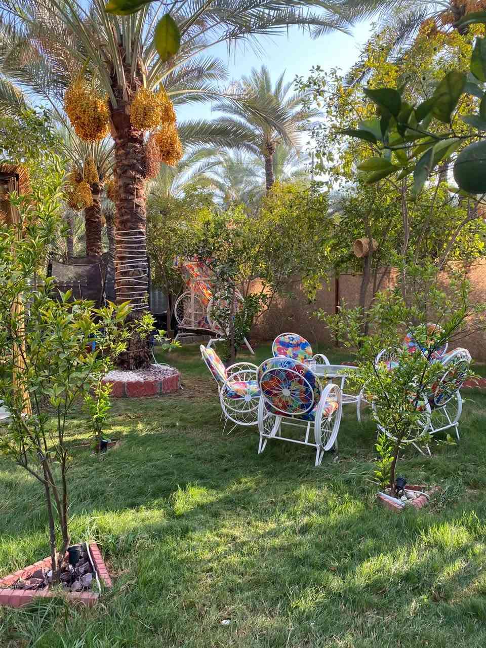 متوفرة مزرعة للحجز اليومي ( موثقة بتطبيق اجرلي) موقعها بغداد _الراشدية_ المراسمة للحجز والاستفسار خاص او واتساب ***********
