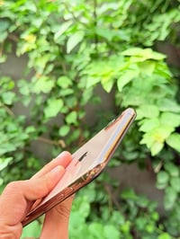 اكس ماكس • ٢٥٦ • المدائن