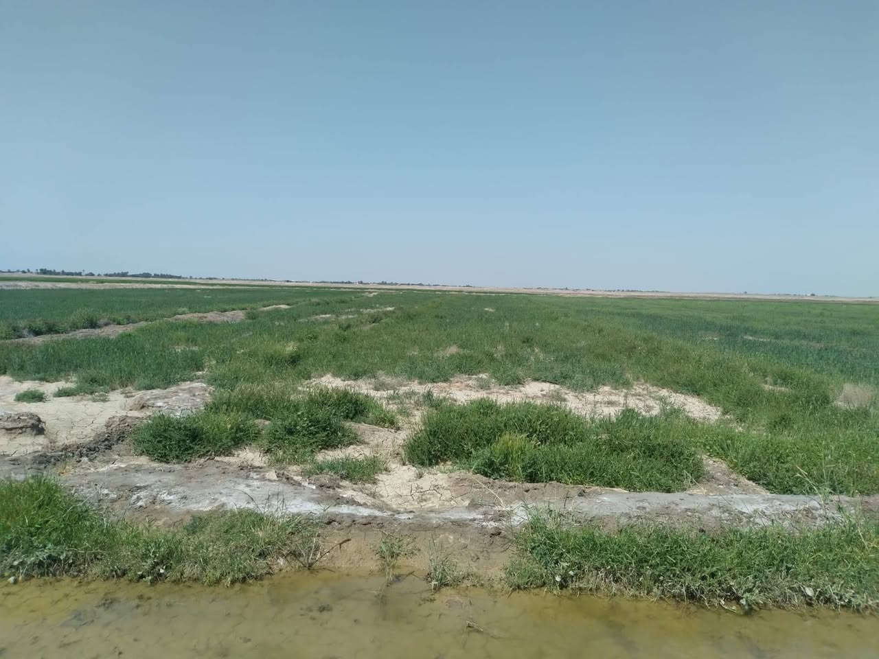 السلام عليكم يتوفر أرض زراعية للبيع طابو زراعي سند ٢٥ المساحة ثمانية دونم الموقع طريق النجمي شارع العلوية زويطه قريبا على مدرسة المكاسب متوفر كافة الخدمات كهرباء ومياه سقي وشارع ومياه أسالة. ملاحظة يتم بيعها جزئيا او كل المساحة المتوفرة
السلام عليكم يتوفر أرض زراعية للبيع طابو زراعي سند ٢٥ المساحة ثمانية دونم الموقع طريق النجمي شارع العلوية زويطه قريبا على مدرسة المكاسب متوفر كافة الخدمات كهرباء ومياه سقي وشارع ومياه أسالة. ملاحظة يتم بيعها جزئيا او كل المساحة المتوفرة 

للإستفسار اكثر عن السعر والتفاصيل يرجى الاتصال بالرقم الآتي ***********

