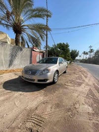 افلون • ٢٠١٠ • فول مصبوغه