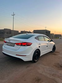 النترا ٢٠١٧ • صبغ أمامي • محاويل