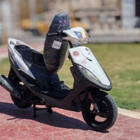 عدله • ناشفة • اوراق اصولية
