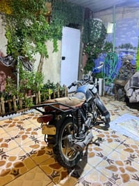 بوكسر • شغاله • ما بيها شي