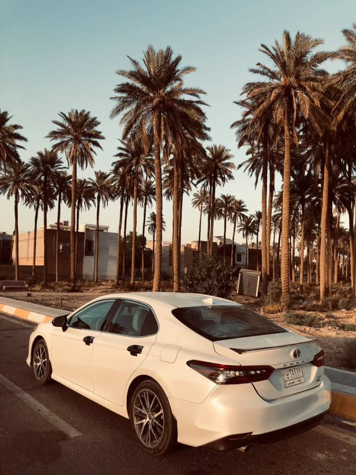 كامري هايبرد • ٢٠٢٢ • خلفي مصدوم