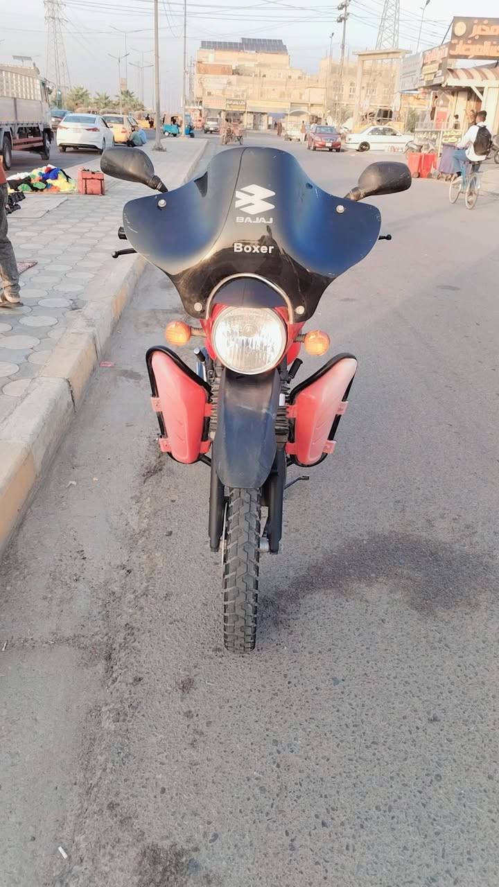 بوكسر جبلي • ٢٣ • مكفوله سنويه