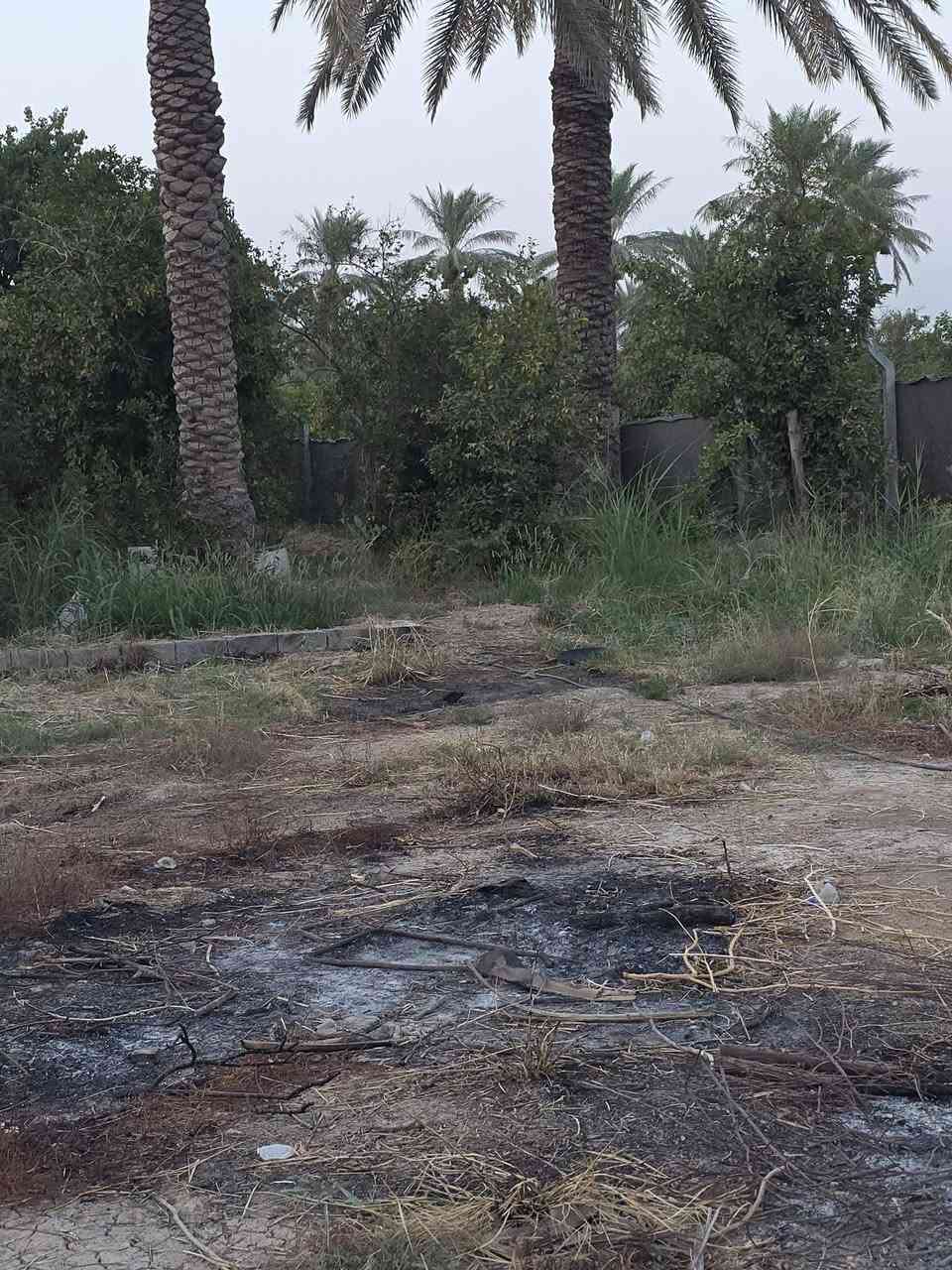 السلام عليكم ورحمة الله وبركاته 🫱🏽‍🫲🏻
بستان ملك صرف للبيع🏞 المساحة دونم ونصف مع زياده في البستان مايقارب الف متر  الواجهه20 ونص نزال 200
العنوان: شاطئ التاجي /مزرفه وحصيوه /مدخل الحصيوة 🛣/قرب جامع الفتاح العليم 🕌
للاستفسار الاتصال على الارقام الاتيه 
كورك: ***********📞📞
اسيا: ***********📞📞
#مكتب_ديرتنا_للعقار 🏢
#بإدارة_أحمد_ابومصطفى🌹
#تواصلوا_معنا💕
