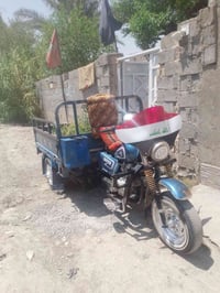 ستوت • ٢٠١٨ • نعمانية