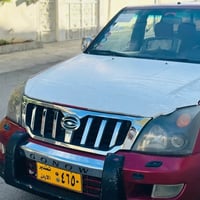 بيكاب • ٢٠٠٨ • بلا صبغ
