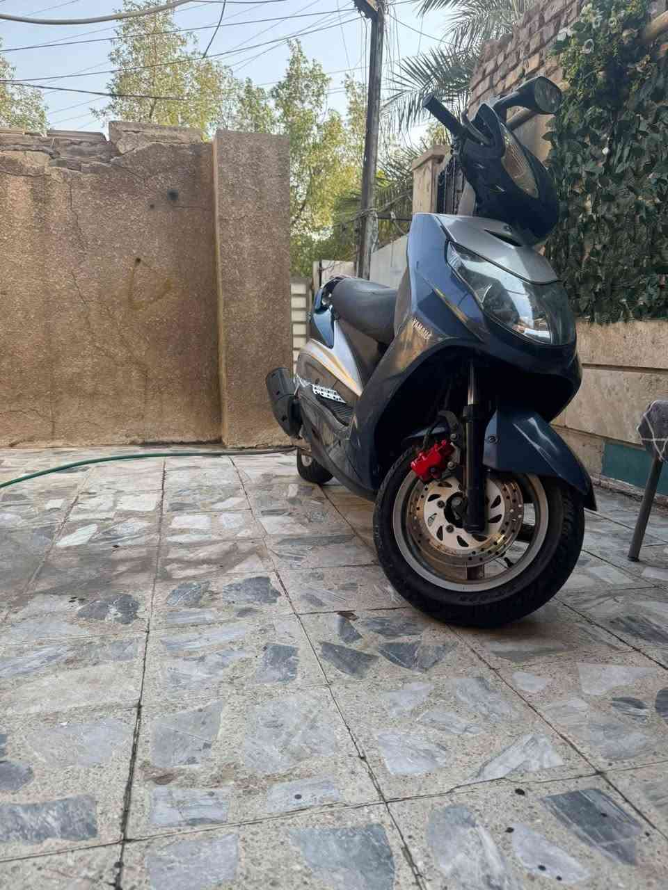 سلام عليكم دراجه سكنس فحل نوزل كفاله عامه صار 4لشهر لو 6 اشهر انزلها سعر 850 عنوان بغداد شعب رقم *********** تفاصيل دراجه بلفديو بلخير
