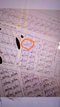 طابو ملك • ١٠٠م • التوزيع الجديد