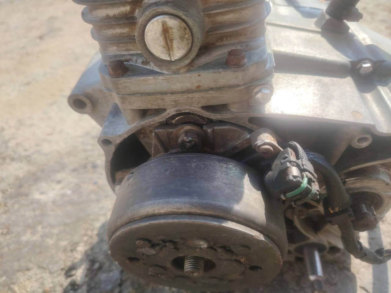 شغال شغال
+9647765465263
راعيه
