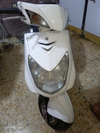 سكنس فحل • مكينة ناعمة • بدها زنجيل