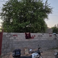 نص دونم • طابو زراعي • طريق ابو الجاسم